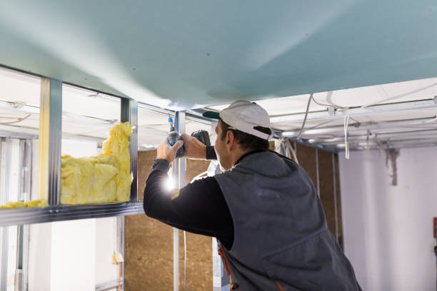 Best DIY Insulation Kits and Guidance in Hybla Lley, VA