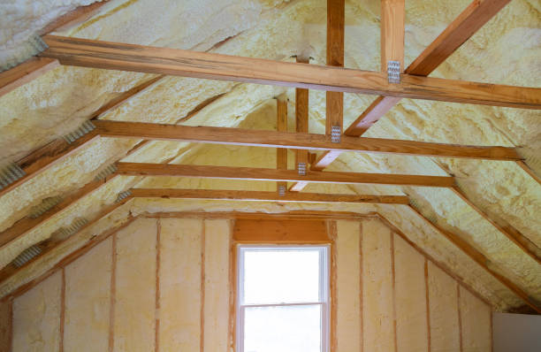 Best Commercial Insulation in Hybla Lley, VA