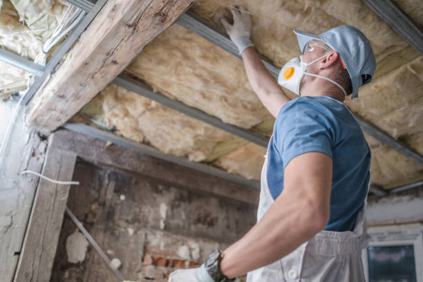 Professional Insulation Contractor in Hybla Valley, VA
