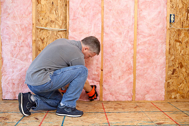 Best Insulation Maintenance and Repair in Hybla Lley, VA