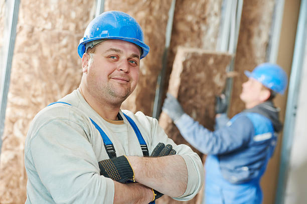 Best Geographic-Specific Insulation Services in Hybla Lley, VA